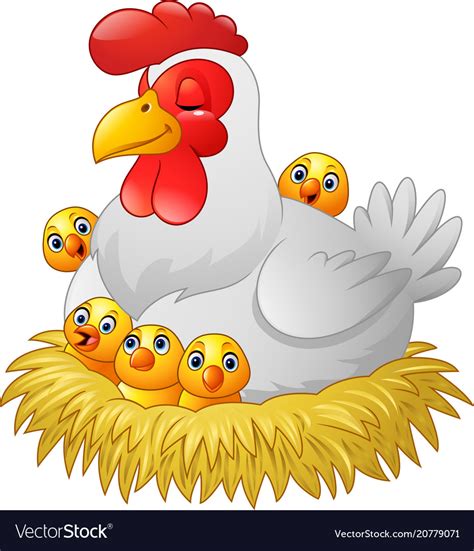 hen cartoon images|hen cartoon drawing.